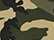 Army Camo